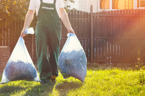 Best Shed Removal  in Dacula, GA